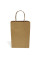 Пакет паперовий, міцний, крафт 190х120х280 з ручкою